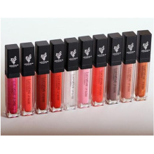 Brilho labial lucrativo de 10 cores da Younique quente 7ml / PCS